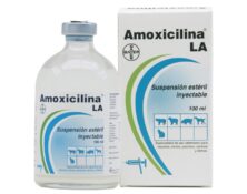 Amoxilina