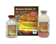 Bayovac-Horizon-10