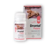 Dontral-puppy