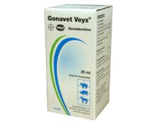 Gonavet-Veyx